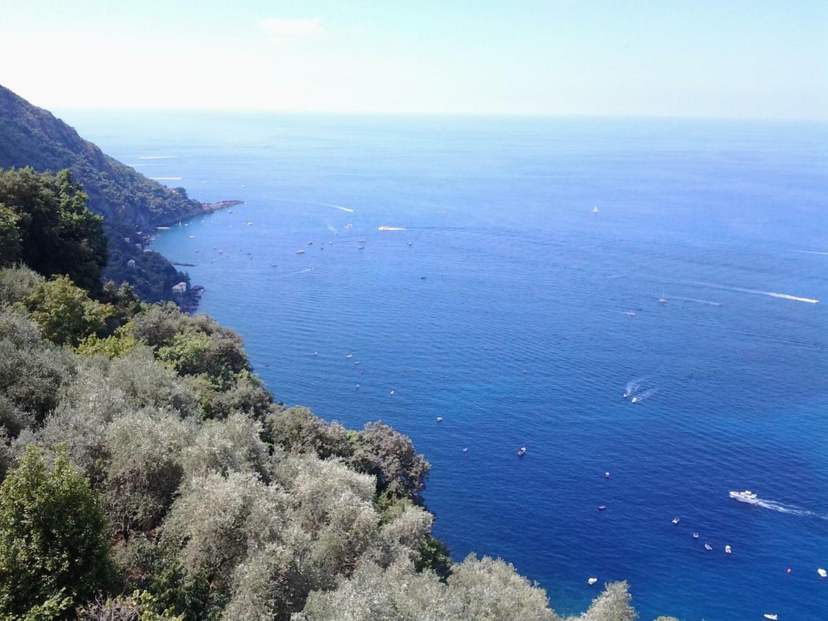Apartmán Casa Constanza Pace E Relax In Liguria Camogli Exteriér fotografie